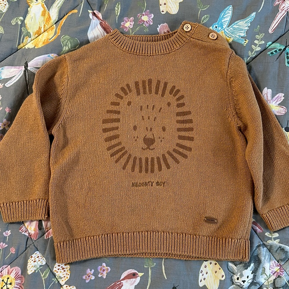 Mango Boy Cotton Sweater
